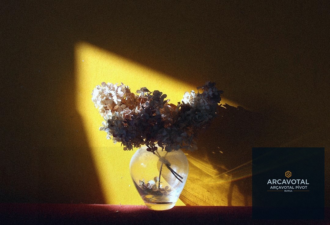 Etkinlik ve Düğün Çiçekleri