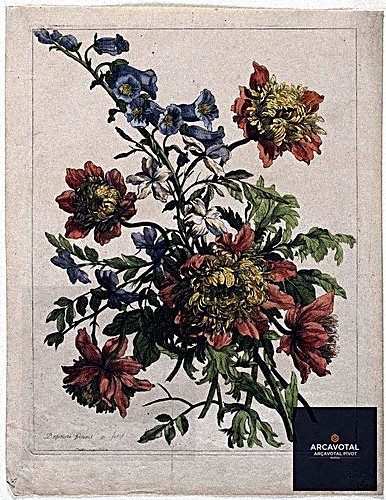 Genç Profesyonellere Özel Modern Çiçek Tasarımları